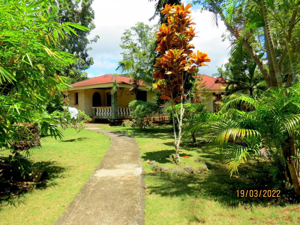 Alonaland Resort Panglao Exterior foto
