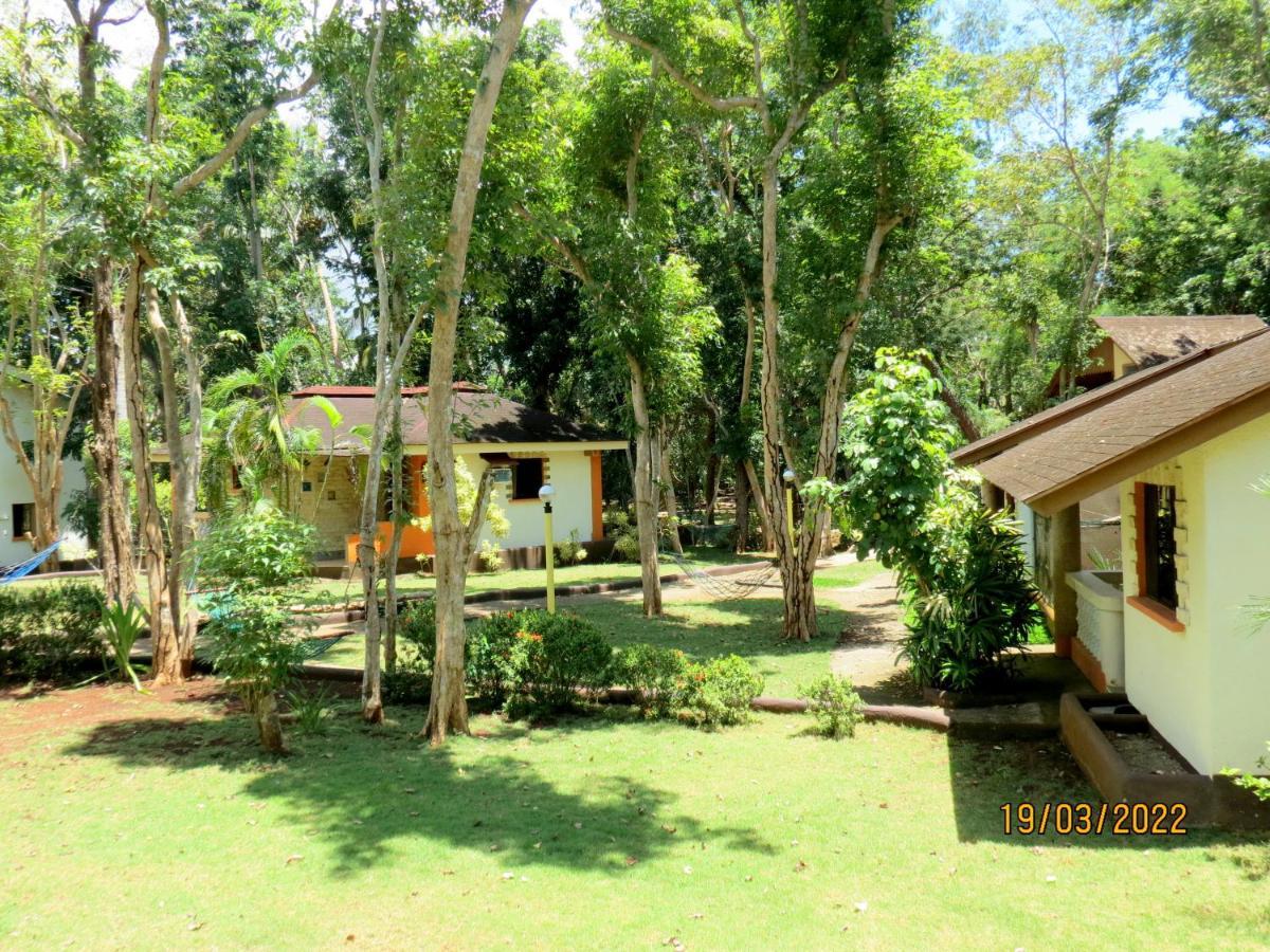Alonaland Resort Panglao Exterior foto
