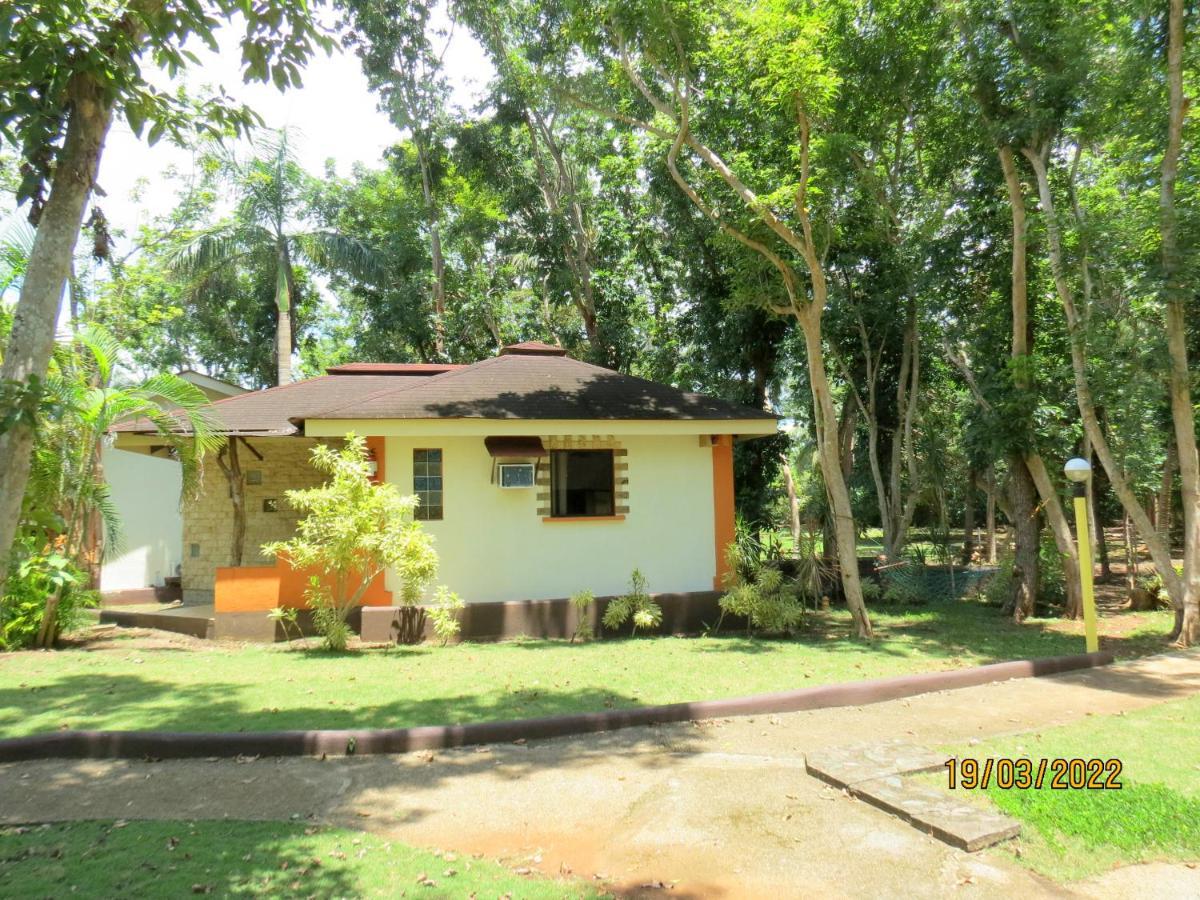 Alonaland Resort Panglao Exterior foto
