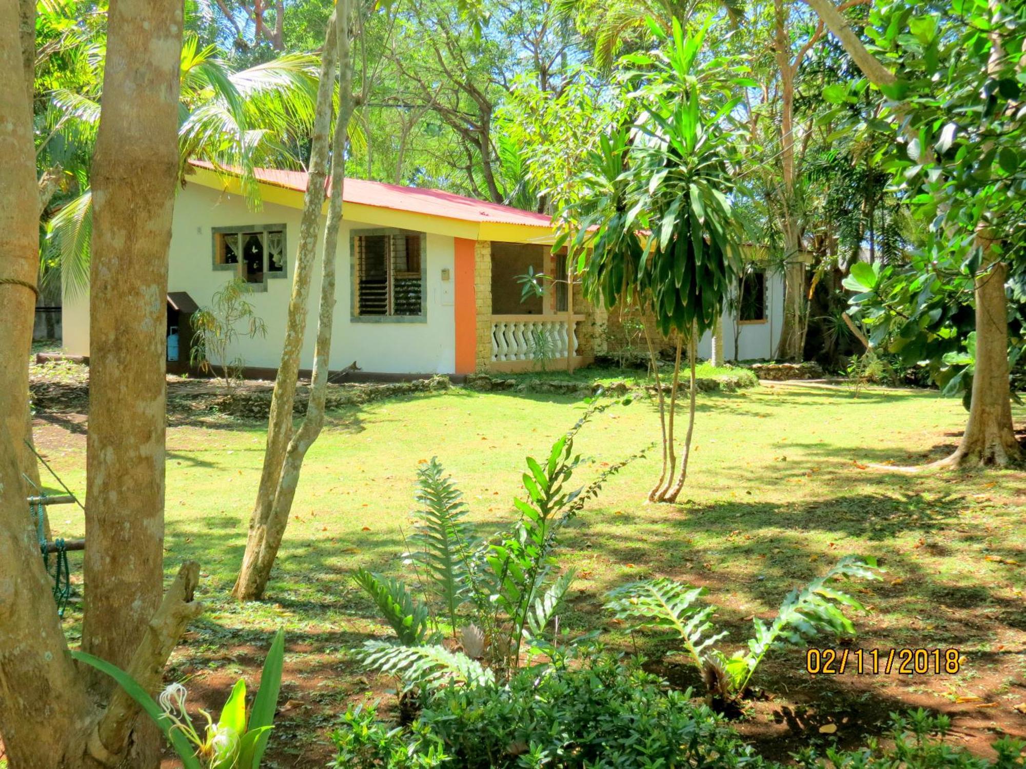 Alonaland Resort Panglao Exterior foto